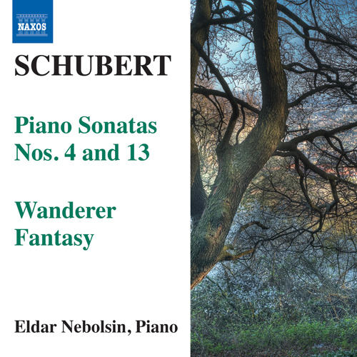 Schubert Piano Sonatas and Wanderer Fantasy album cover