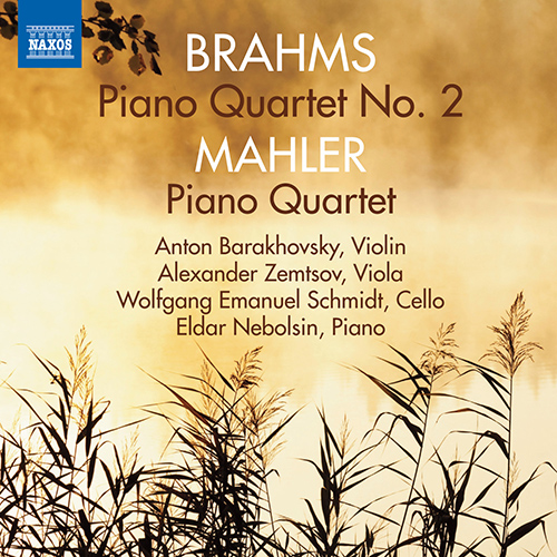 Brahms and Mahler Piano Quartets album cover